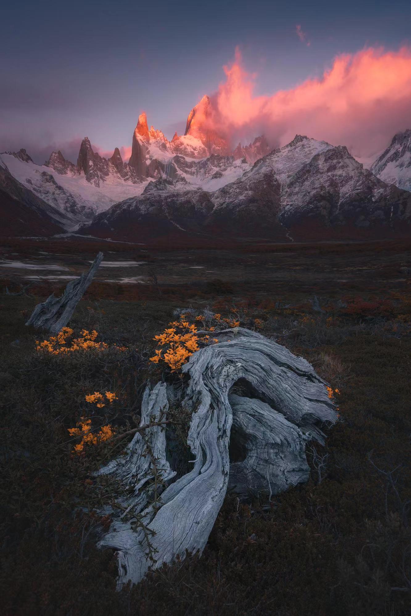 还没开始复现 这只是一个测试